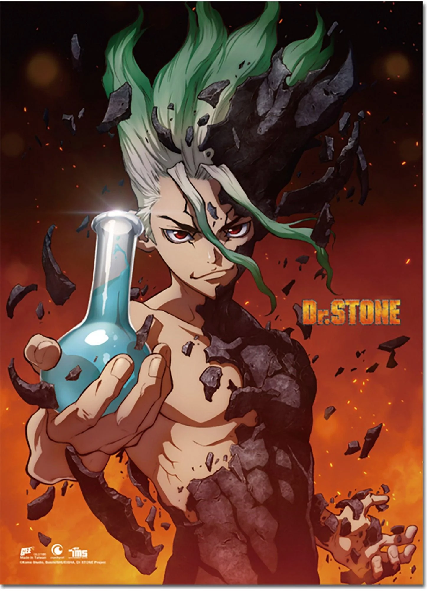 Dr. Stone - Senku Ishigami Wall Scroll