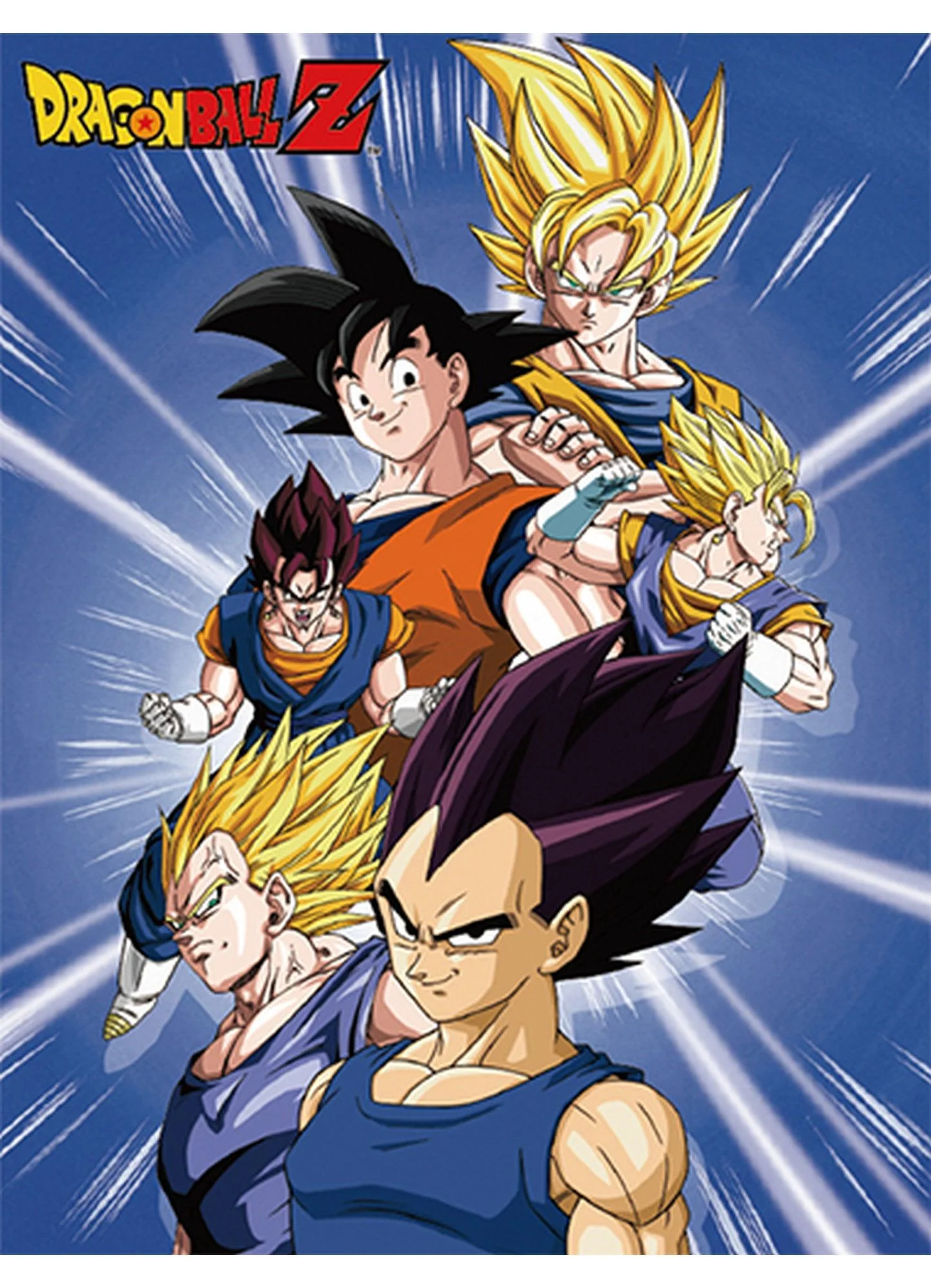 Dragon Ball Z - Group 5 Sublimation Throw Blanket
