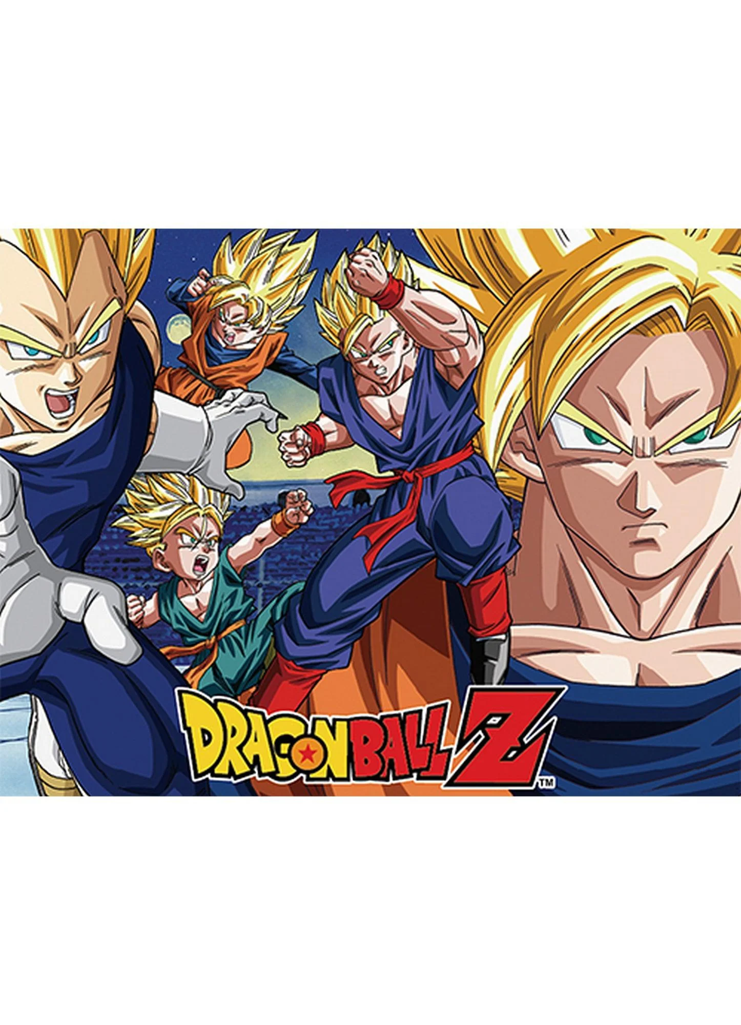 Dragon Ball Z - Group Sublimation Throw Blanket