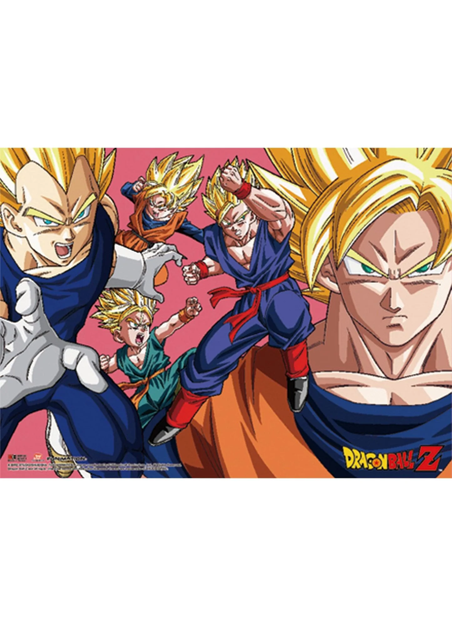 Dragon Ball Z - Saiyan Group Fabric Poster
