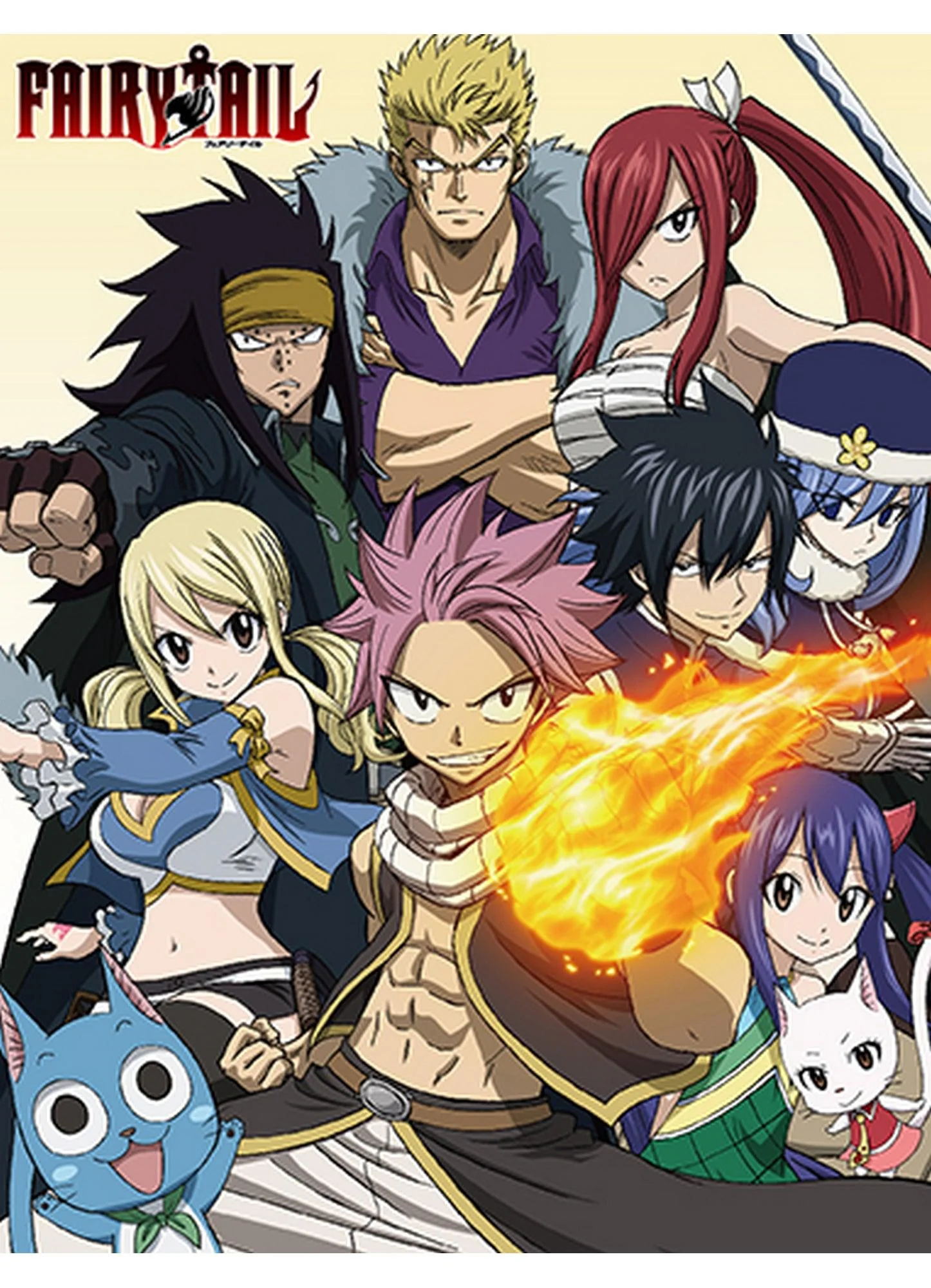 Fairy Tail S7 - Group Sublimation Throw Blanket