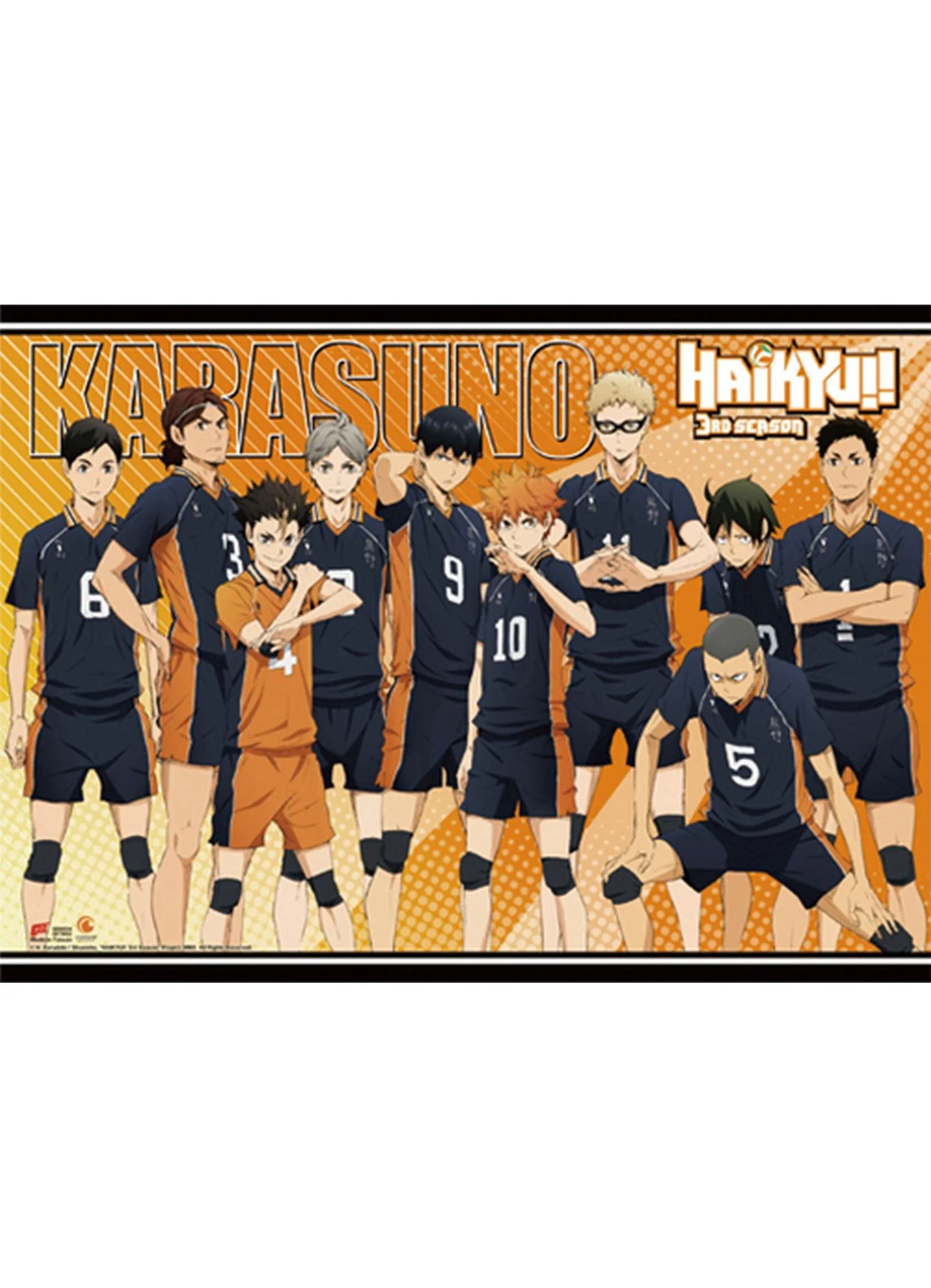 Haikyu!! S3 - Karasuno High School Wall Scroll