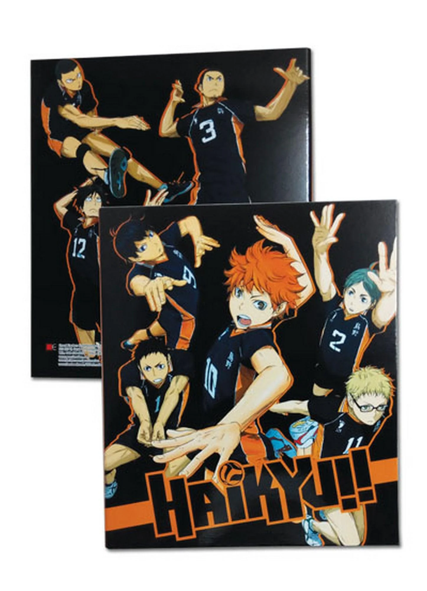 Haikyu!! - Team Binder