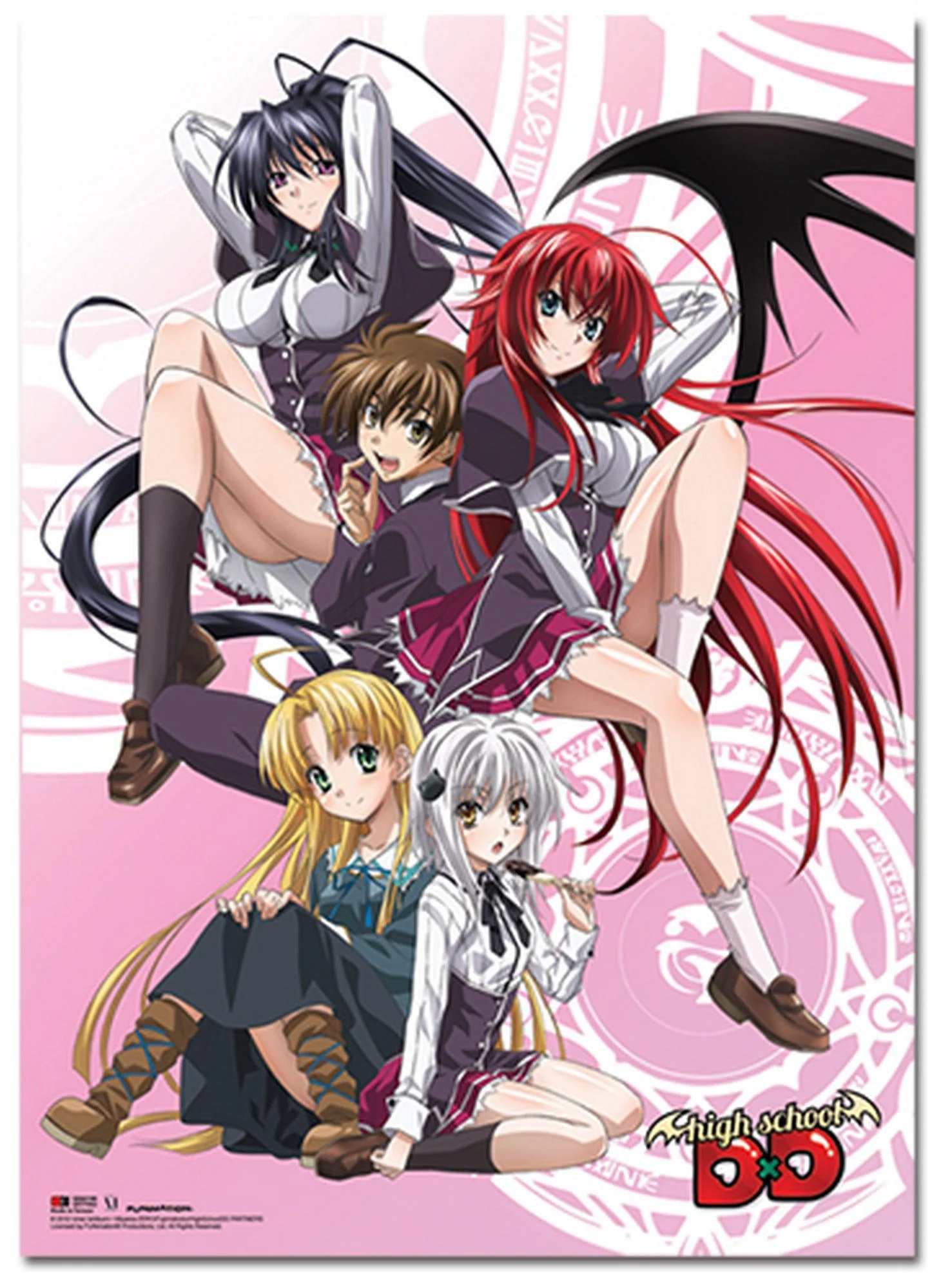 High School DxD - Key Art Wall Scroll