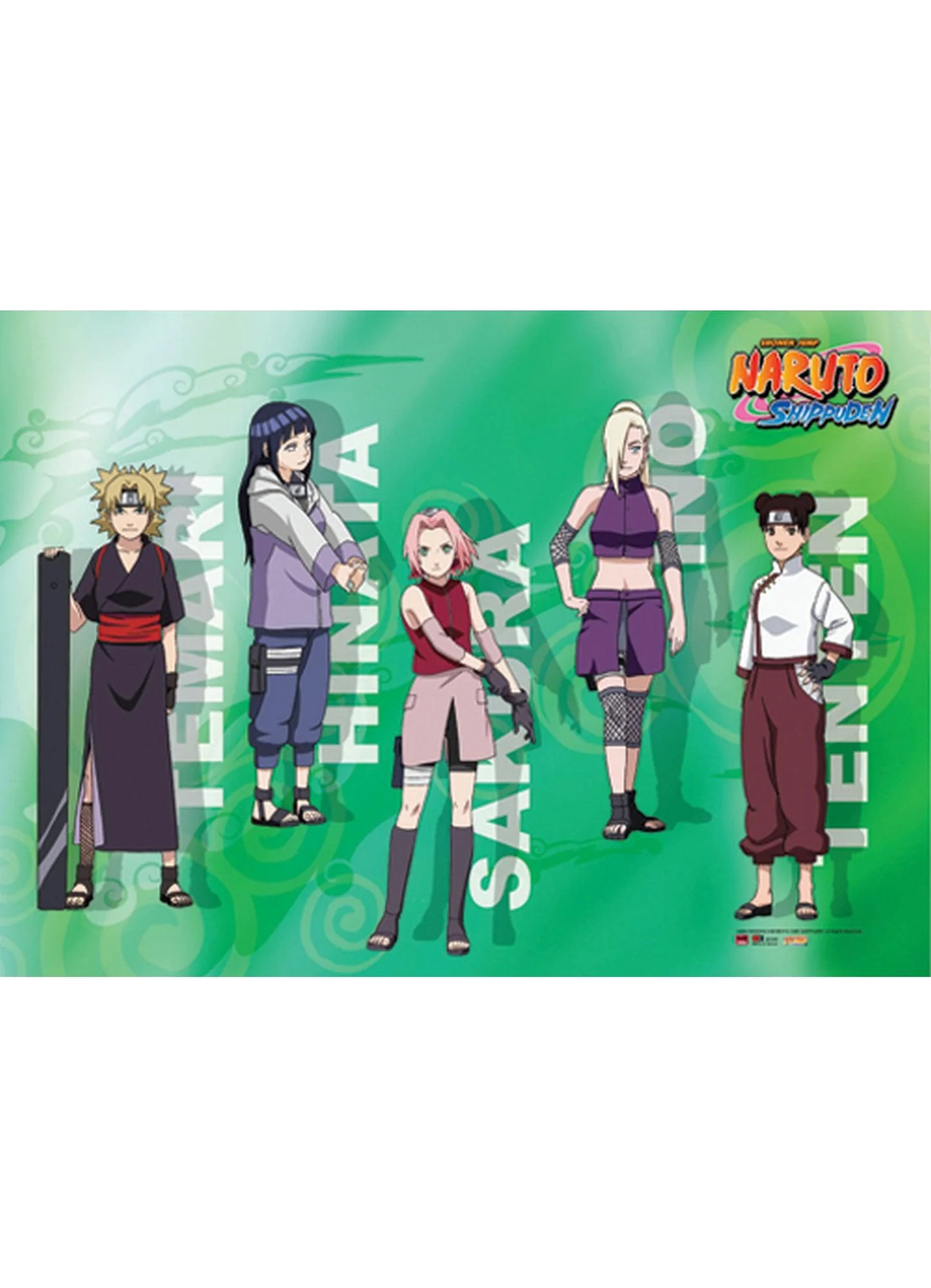 Naruto Shippuden - The Girls Wall Scroll